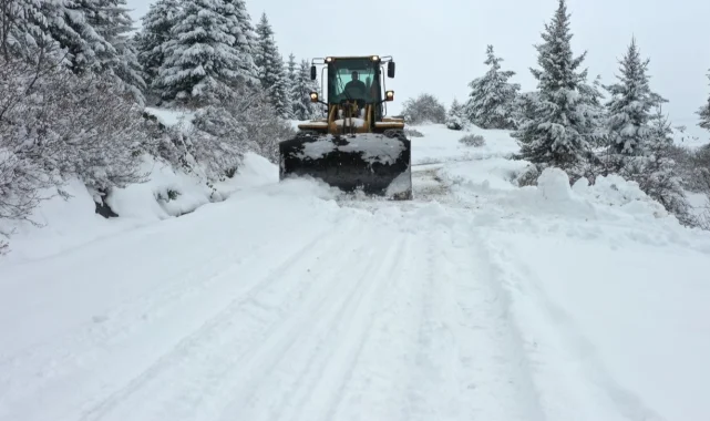Ordu kara teslim oldu