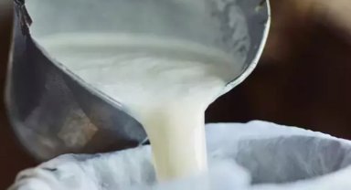 Şubat'ta süt ürünleri üretiminde düşüş... Ayran ve kefir üretimi yüzde 6,9 arttı