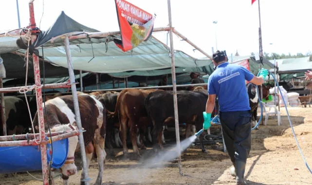 Antalya Büyükşehir kurban satış noktalarını ilaçlıyor
