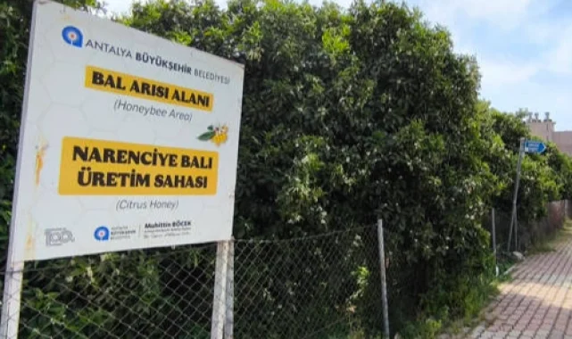 Antalya'da 'Narenciye Balı' koruma altında