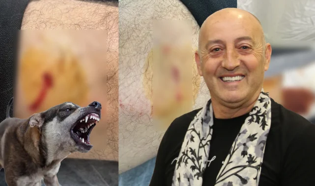 Gemlik Karacaali Muhtarı'na sokak köpeklerinden saldırı!