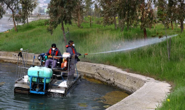 İstanbul'da sivrisinekle mücadelede önlemler arttı