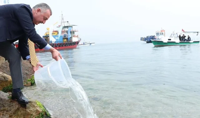 İzmit Körfezi'nde ekosisteme destek! 6 bin balık körfezle buluştu