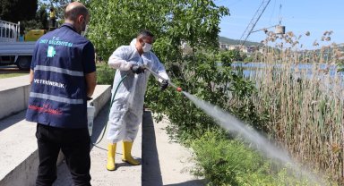 İzmit'te halk sağlığı için yoğun ilaçlama mesaisi