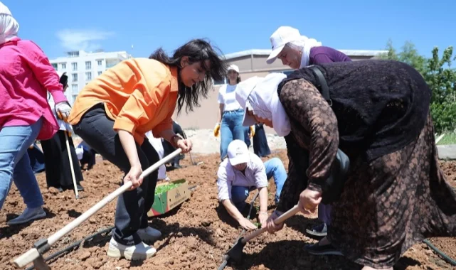 Kent Kadın Bostanları projesi Mardin Artuklu'da hayata geçti