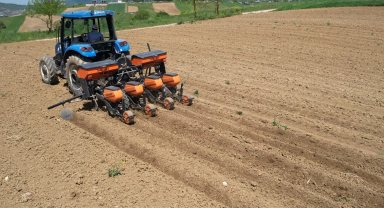 Kocaeli Büyükşehir'in desteğiyle ekim mesaisi başladı