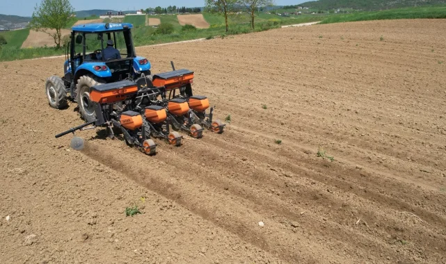 Kocaeli Büyükşehir'in desteğiyle ekim mesaisi başladı