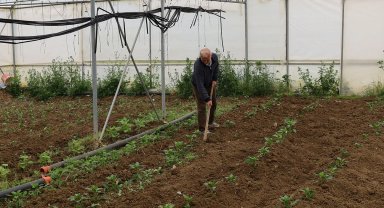 Kocaeli'nde üreticilere yüzde 50 hibeli modern sera desteği