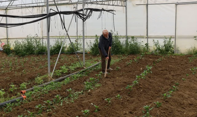 Kocaeli'nde üreticilere yüzde 50 hibeli modern sera desteği