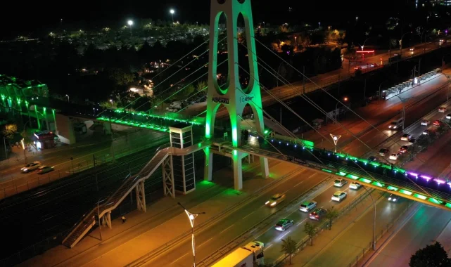 Kocaeli'nde üst geçitler yeşile büründü