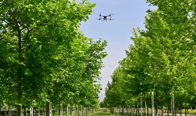 Manisa'da haşereyle mücadeleye aralıksız devam ediyor