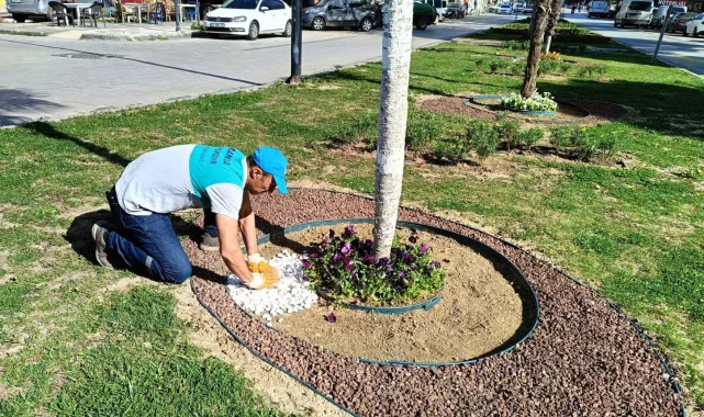 Manisa'da yeşil alanlara estetik dokunuş