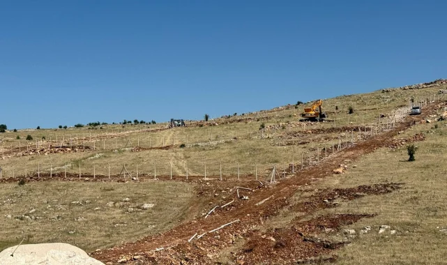 Mardin Artuklu Belediyesi'nden hayvan dostu projeler