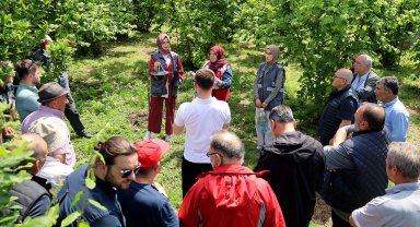 Sakarya'da çiftçilere feromon tuzağı ulaştırıyor