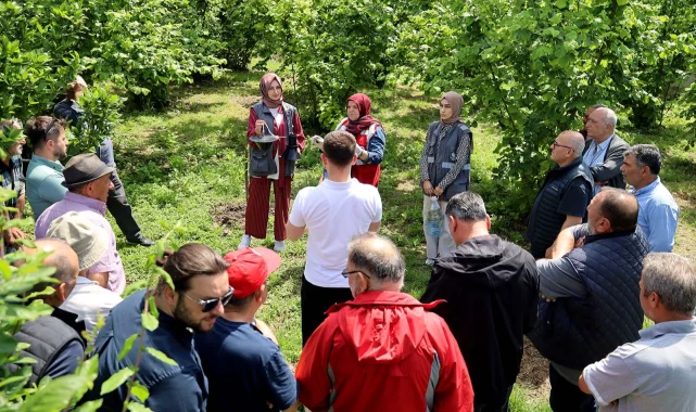 Sakarya'da çiftçilere feromon tuzağı ulaştırıyor