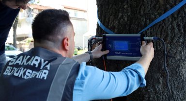Sakarya'dan doğaya 'şifa' gibi adım... Yeşil cennetin tomografisi çekilecek