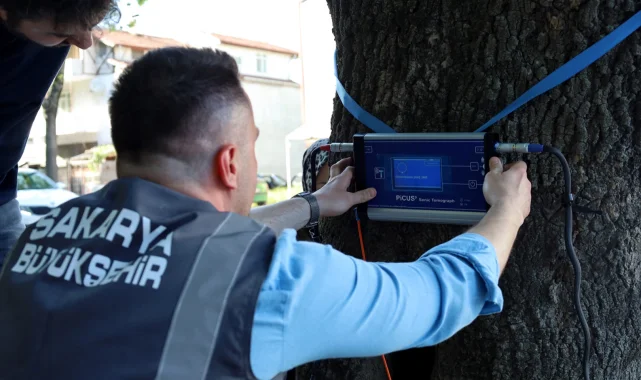 Sakarya'dan doğaya 'şifa' gibi adım... Yeşil cennetin tomografisi çekilecek