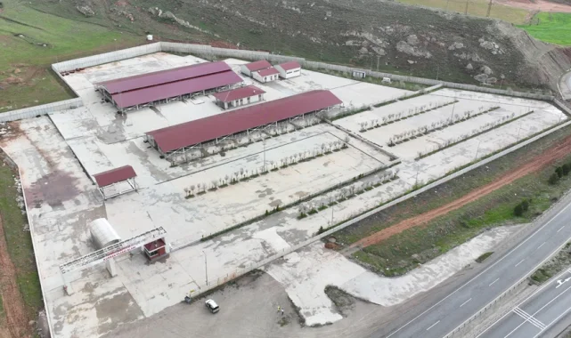 Sivas'ta kurban pazarı Kovalı'ya kuruluyor