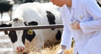 Tarımsal girdi Mart'ta yükseldi... Veteriner harcamaları revaçta