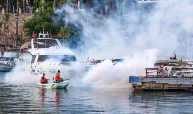 Antalya'nın her köşesinde vektörle mücadele
