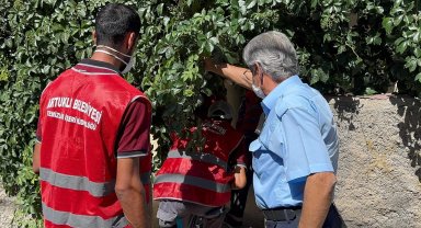 Artuklu'da "Çöp Ev" temizlendi, mahalle rahat nefes aldı