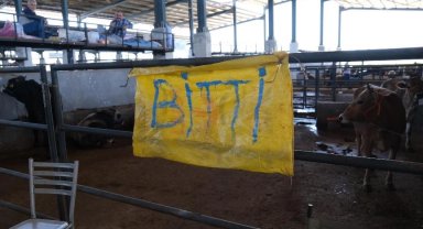 Bursa İnegöl'de 5'inci bayramda modern ve hijyenik satış