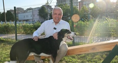 Bursa Nilüfer'de can dostlar yeni yuvalarına kavuştu