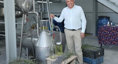 Bursa Nilüfer'de lavanta hasadı başladı