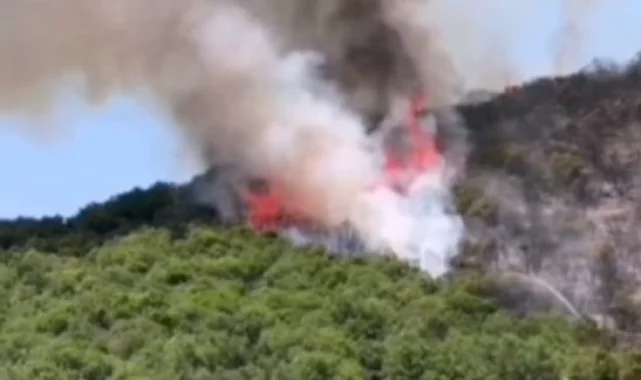 Bursa'da Yenişehirli çiftçilerden yangın seferberliği