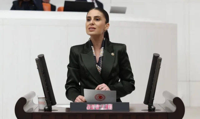 CHP'li Özcan'dan Dalaman Çayı uyarısı