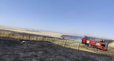 Diyarbakır Büyükşehir'den anız yangınlarına karşı uyarı
