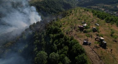 Düzce Yığılca'da orman yangını!