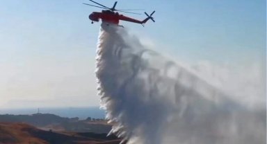 İzmir Aliağa'daki orman yangını kontrol altına alındı