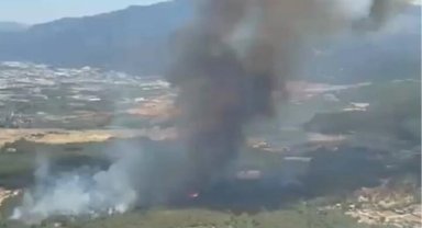 İzmir Bornova Yakaköy'de orman yangınına hızlı müdahale