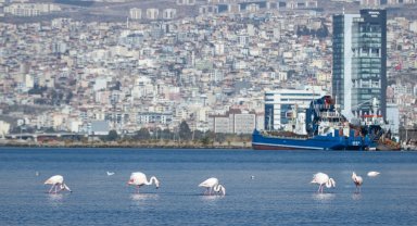 İzmir 'iklim nötr' hedeflerini dünyaya tanıttı