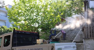 İzmir Karabağlar'da haşerelere karşı ilaçlama seferberliği 