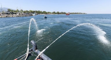 İzmir Körfezi'nde alg patlamalarına karşı çevreci çözüm: Modifiye kil