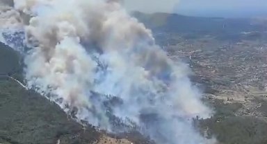 İzmir Menderes'te orman yangını... Havadan ve karadan müdahale sürüyor