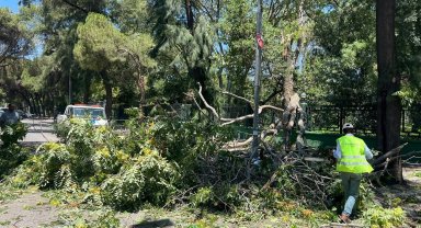 İzmir'de yangın ve fırtınayla mücadele!
