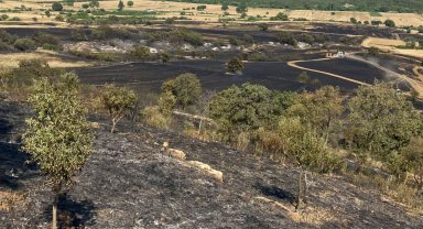 Keşan Mecidiye'de umutlar kül oldu!