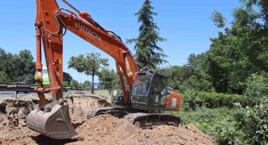 Kocaeli'de sökülen ağaçlar geleceğe taşınıyor