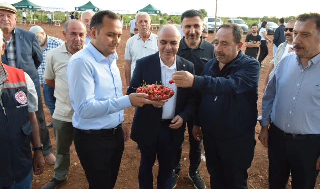 Mardin Ömerli'de doğa ve kültür buluştu