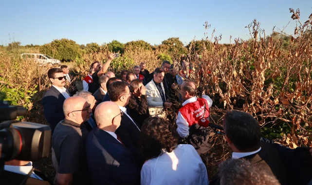 Mersin'de narenciye bahçelerine 'zirai don' incelemesi