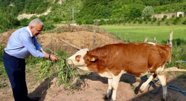 Ordu Büyükşehir besicilerin yüzünü güldürdü