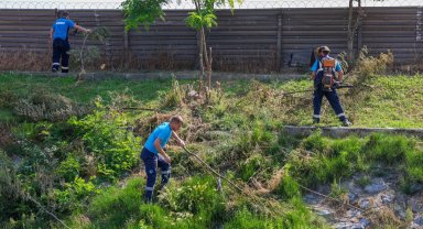 Sakarya'da 'Çark'ta hummalı temizlik