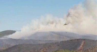 Türkiye'de orman yangınlarında 17 şüpheli gözaltında