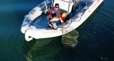 Uluabat Gölü'nde kaçak avcılığa Jandarma darbesi... 346 kilo balık doğaya kazandırıldı