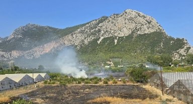 Antalya Kumluca'da çıkan yangına anında müdahale