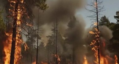 Bakan Yumaklı'dan orman yangını uyarısı: Yeşil Vatan'ı hep birlikte koruyalım