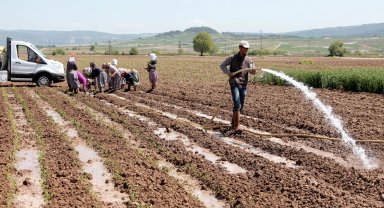Bursa Yenişehir Ovası'ndan su krizi uyarısı! Yenişehir'de su seviyesi tehlikede!
